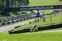 brands-hatch-photographs;brands-no-limits-trackday;cadwell-trackday-photographs;enduro-digital-images;event-digital-images;eventdigitalimages;no-limits-trackdays;peter-wileman-photography;racing-digital-images;trackday-digital-images;trackday-photos